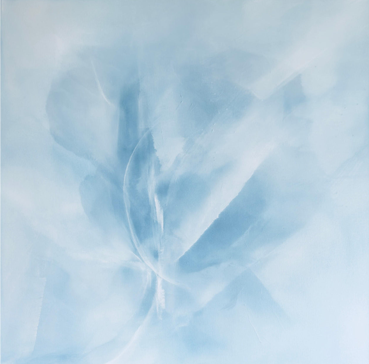 Donna Rittiner