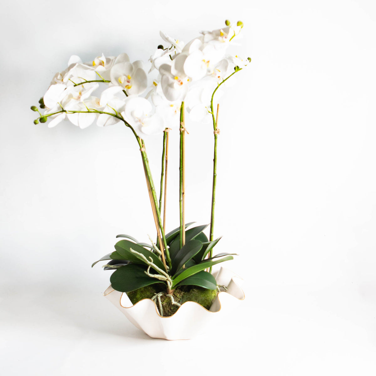 Epiphany Wavy Bowl