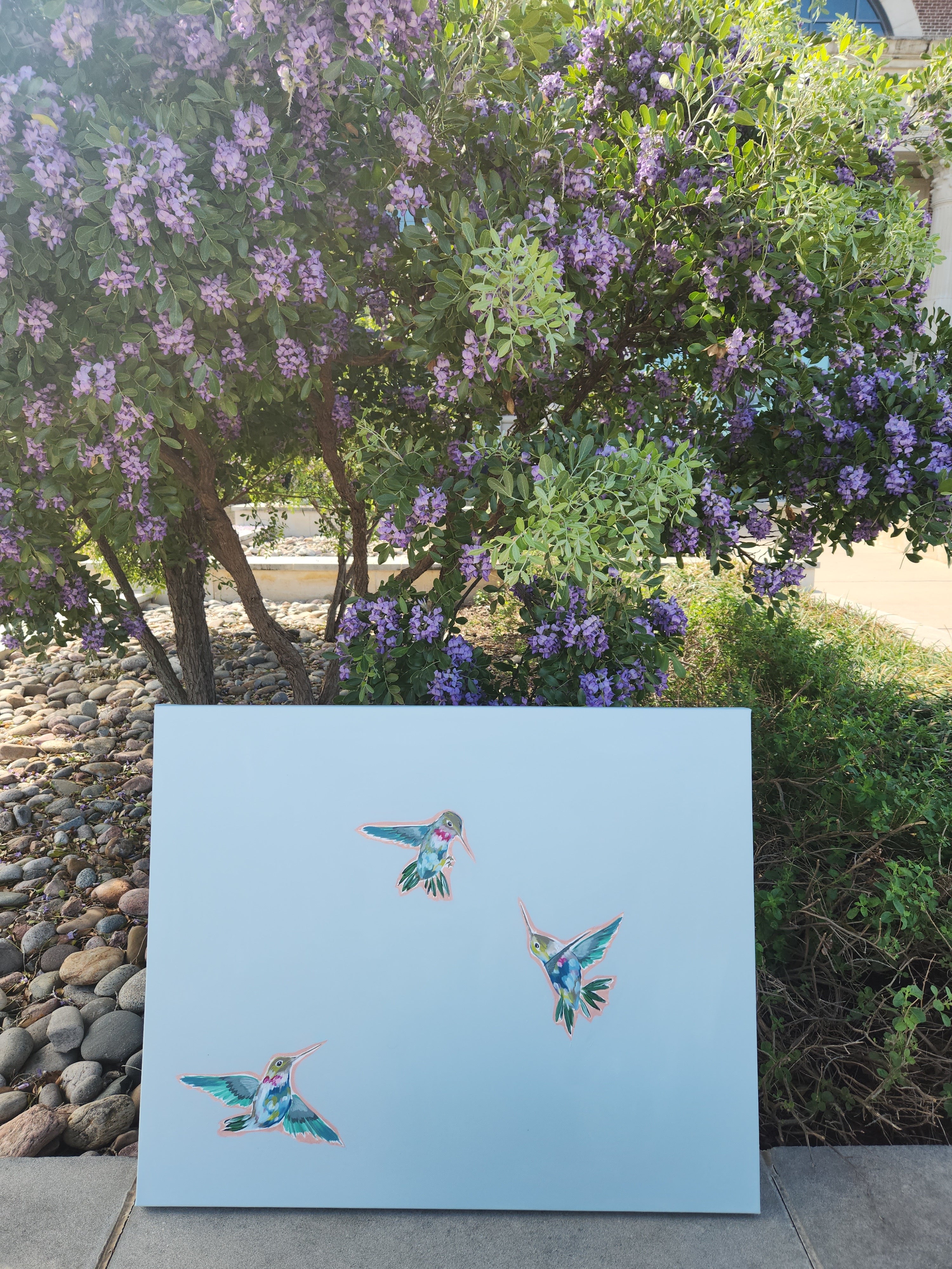 "Hummingbird Dance II" - 24” x 30”