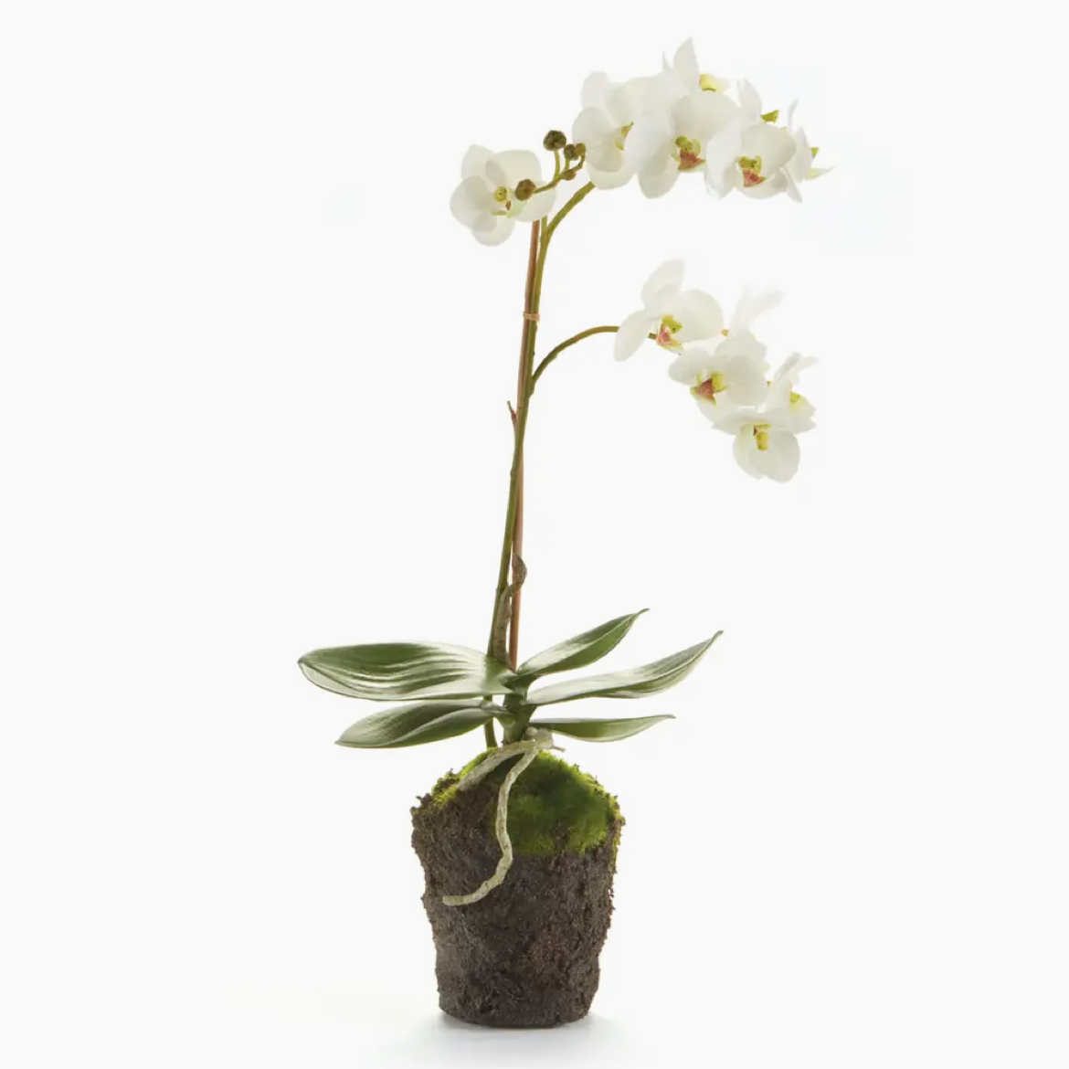 17" Faux Orchid Drop-In